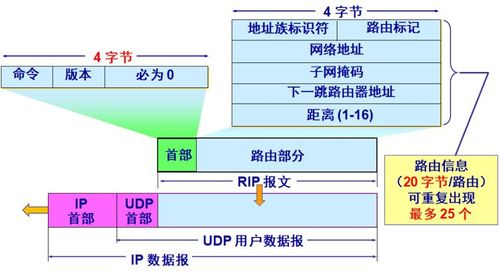 計算機網絡 謝希仁版第四章節《網絡層》重點解析與安裝維護要點