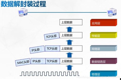計算機(jī)網(wǎng)絡(luò)的參考模型